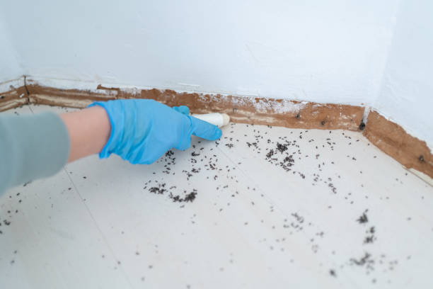 Best Commercial Pest Control Services  in Salem, NJ